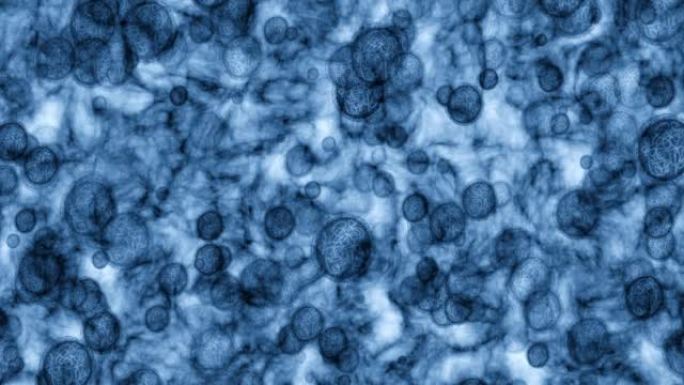 细菌颗粒，显微镜和分子变焦用于科学，生物学和医学数据研究。蓝色分子，dna原子和病毒细胞缩放宏观视图