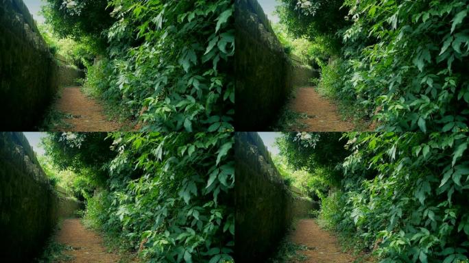 郊区的步行路径