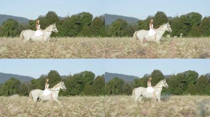慢动作: 高加索女孩骑马沿着盛开的荞麦田地。