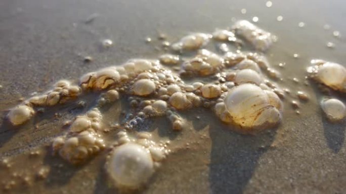 漏油冲到海滩上环境保护日环保空气污染