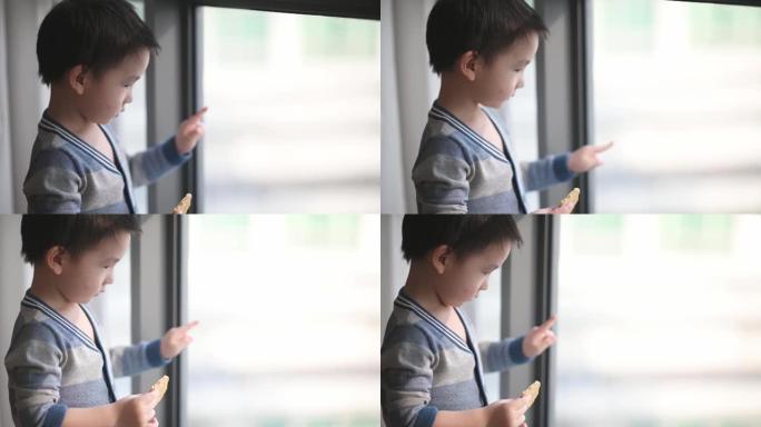 亚洲中国小男孩好奇地看着窗外，喜欢在客厅吃饼干，看着窗外