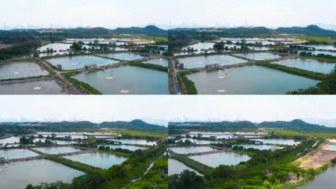 香港鱼类养殖和农田的高角度视图