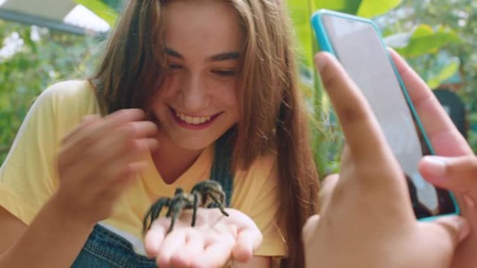 狼蛛，蜘蛛和青少年在动物保护区或野生动物动物园用手机拍照。微笑，幸福和勇敢的青少年，z世代和朋友，为