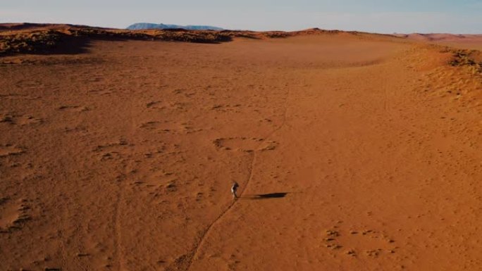 在纳米布沙漠中沿着动物轨道行走的孤独羚羊 (Gemsbok) 的后鸟瞰图
