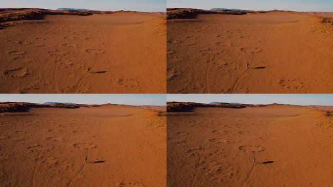 在纳米布沙漠中沿着动物轨道行走的孤独羚羊 (Gemsbok) 的后鸟瞰图