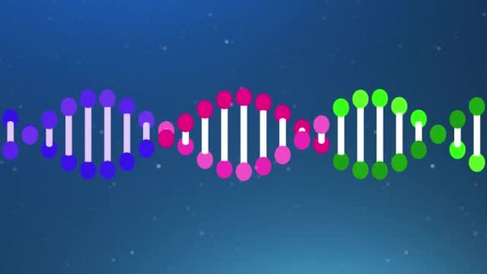 遗传DNA结构脱氧核糖核酸动画素材动态动