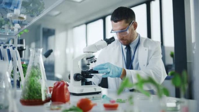男性微生物学家在显微镜下观察实验室培养的纯素食肉样本。在现代食品科学实验室中研究植物性牛肉替代品的医
