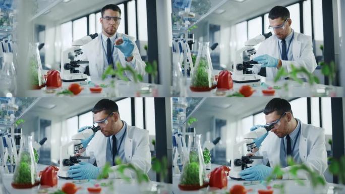 男性微生物学家在显微镜下观察实验室培养的纯素食肉样本。在现代食品科学实验室中研究植物性牛肉替代品的医