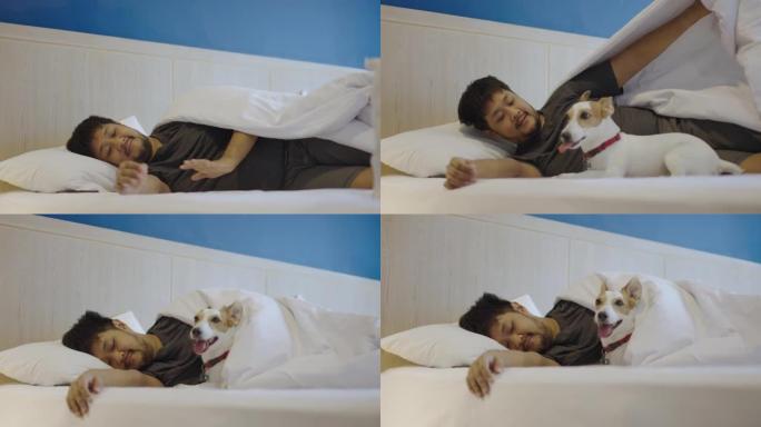 SLO MO: 男人和他的狗一起玩，并说服它和他在家里的床上睡觉。