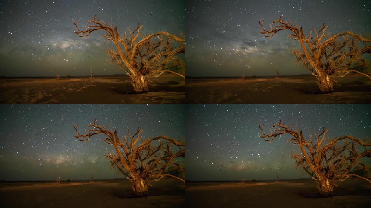 非洲纳米比亚星空下的WS时间推移Deadvlei树