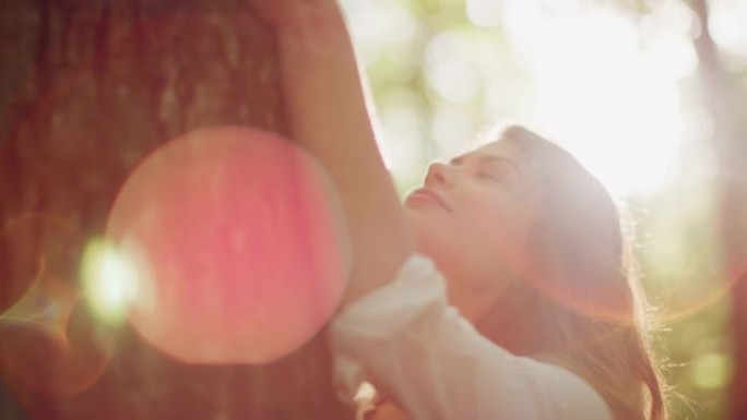SLO MO年轻女子在阳光明媚的森林中拥抱一棵树