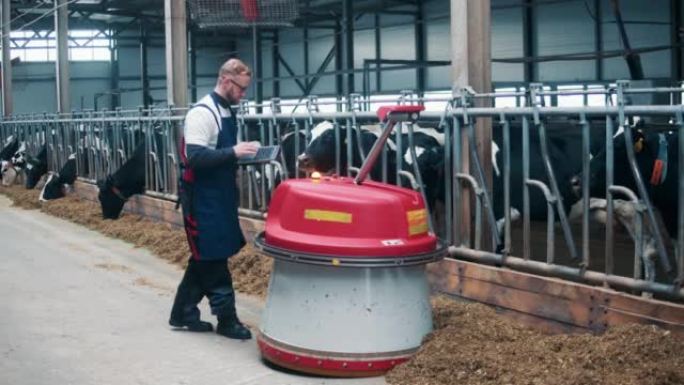 男性工人正在牛棚中操作机器人饲料推进器