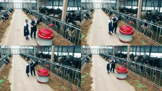 牛棚工人正在操作机器人饲料推进器