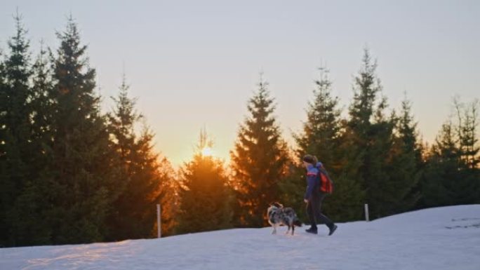 SLO MO女人和一只狗在日出时在雪坡上行走