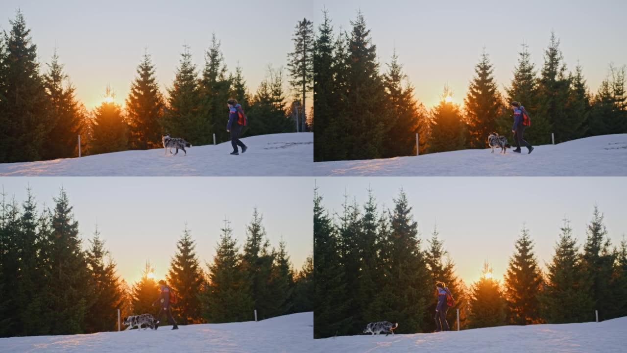 SLO MO女人和一只狗在日出时在雪坡上行走