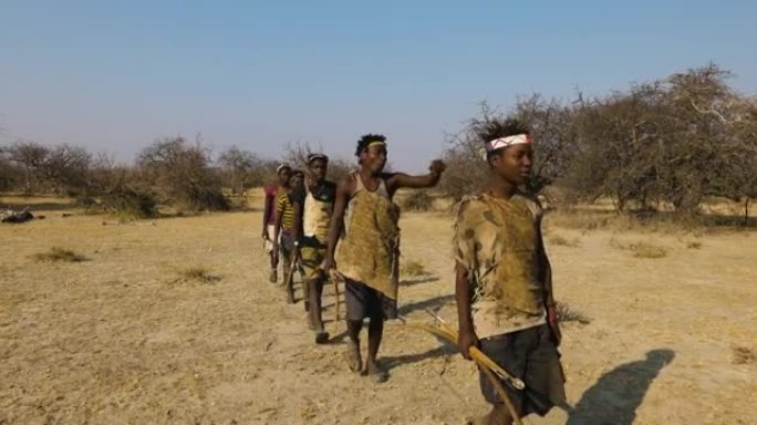 一群哈扎狩猎采集者部落成员用弓箭狩猎坦桑尼亚