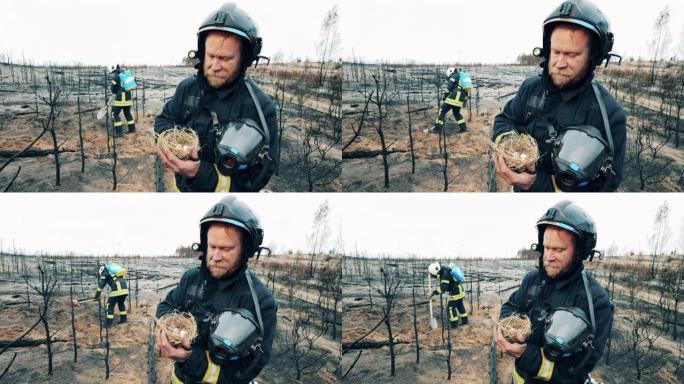 一名消防员抱着一个小鸡蛋的巢