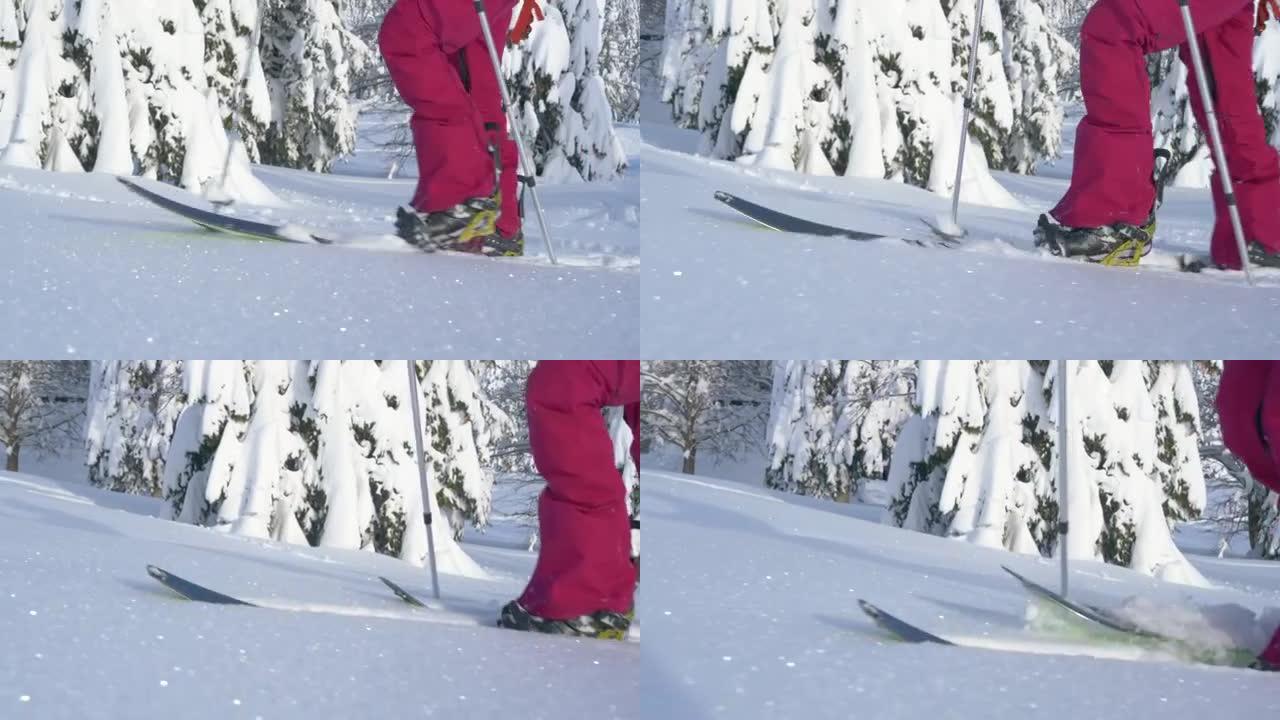 特写: 沿着雪坡徒步旅行时，滑雪旅行者的滑雪板的详细照片。