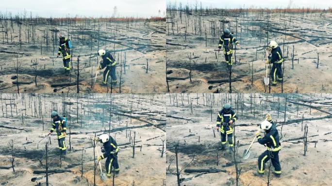 烧毁的森林地面被两名消防员窒息