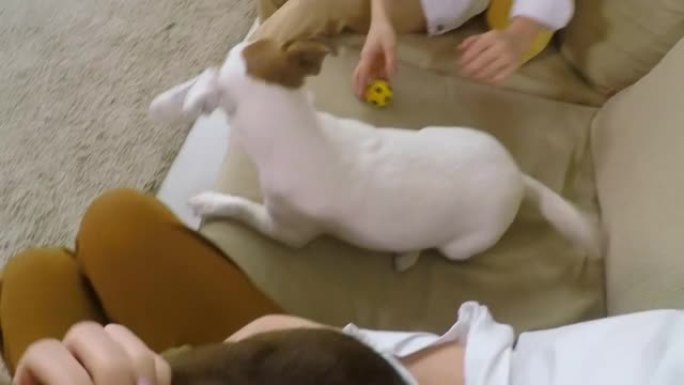 女人抚摸猫和女儿在家玩狗的POV