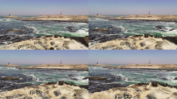 WS棕色海豹在岩石上游泳，并在大西洋，斯瓦科普蒙德，纳米比亚，非洲