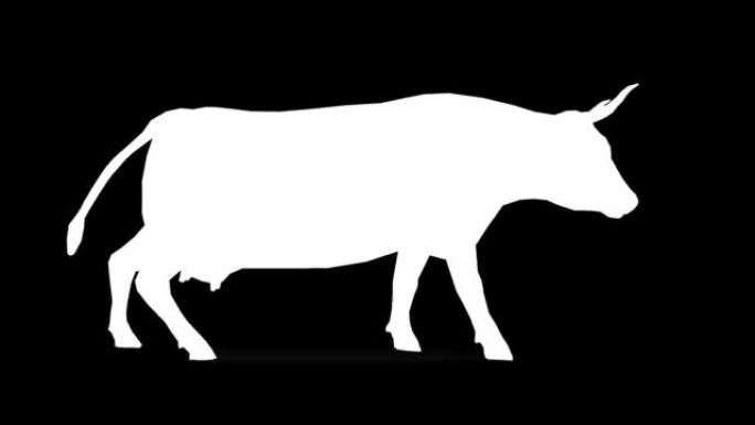 黑色背景上的跑步奶牛剪影。动物的概念，野生动物，游戏，返校，3d动画，短视频，电影，卡通，有机，色键