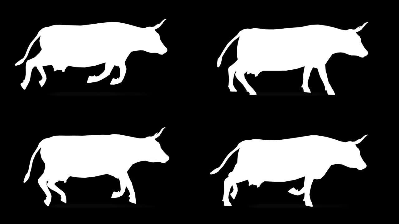 黑色背景上的跑步奶牛剪影。动物的概念，野生动物，游戏，返校，3d动画，短视频，电影，卡通，有机，色键