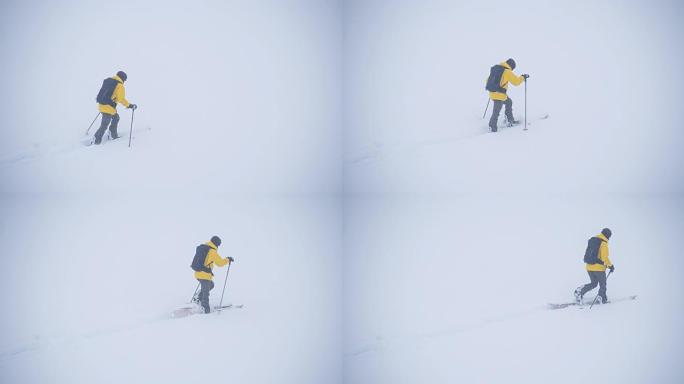 在极端天气的冬季，活跃的运动员滑雪板在splitboard上巡回演出