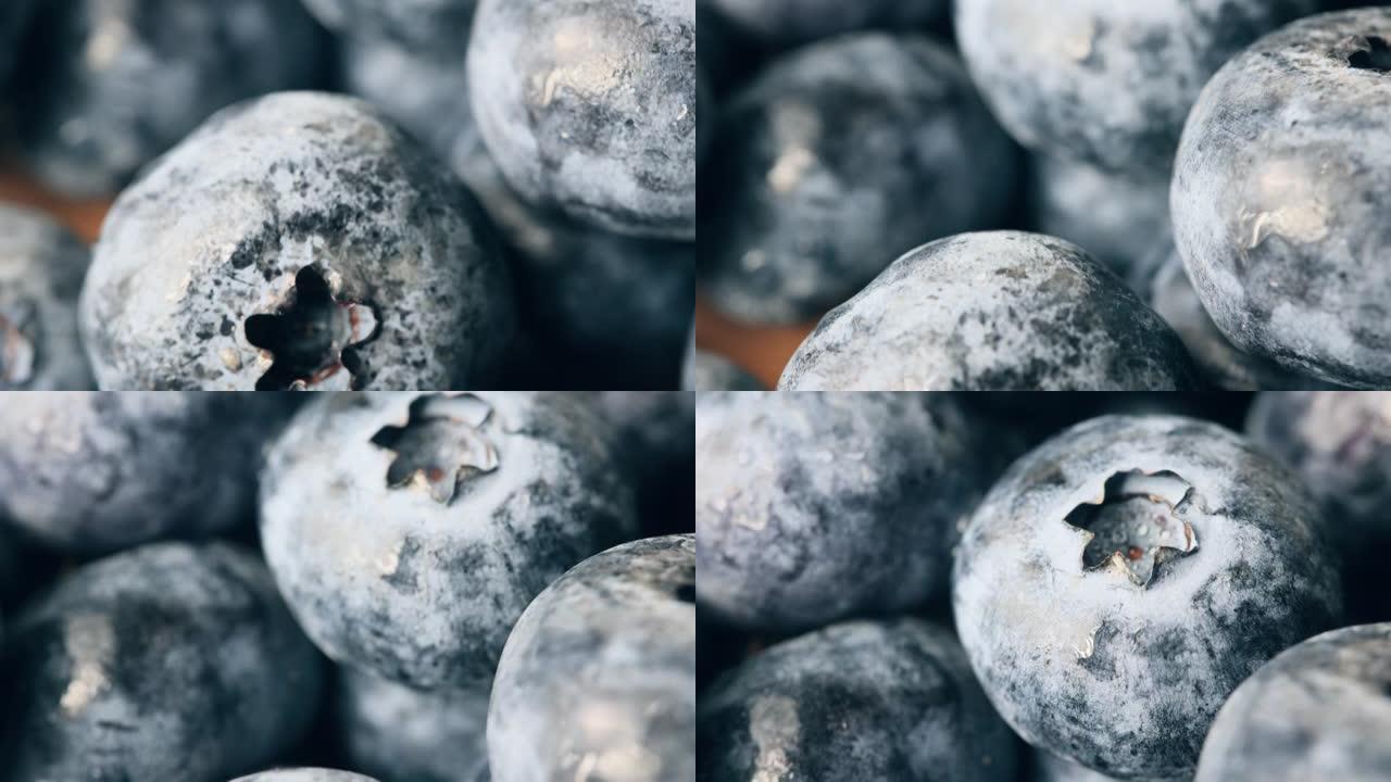 蓝莓蓝莓有机水果