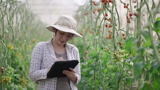 在温室农场中使用数字平板电脑的亚洲女农民