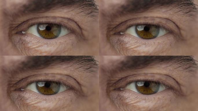 眼睛人类与美丽的棕色虹膜微距拍摄。明亮美丽的老男性睁开眼睛瞳孔放大。极端特写成熟清晰地看着相机。在光