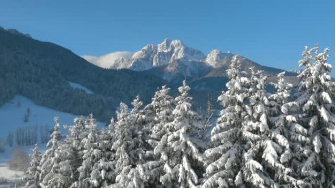 空中: 风景如画的庞塞山脉从白雪皑皑的云杉树后面露出