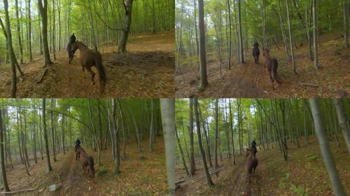跟随女性骑马和骑马穿过五颜六色的秋天森林