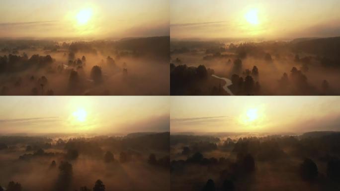大气的空中风景，神秘的雾谷，森林和河流在史诗般的温暖日出上覆盖着浓雾。