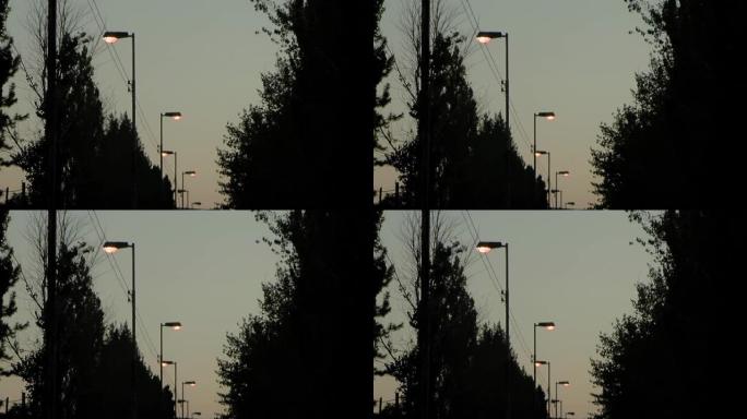 阿根廷内乌肯省日落时分的路灯和树木。
