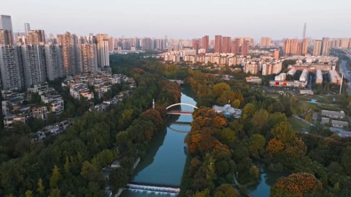 中国城市滨江城市景观下，秋天阳光明媚的森林公园的美丽成都城市鸟瞰图