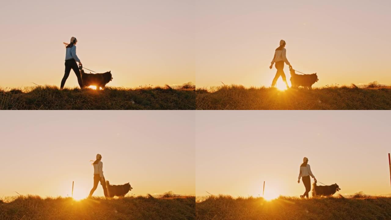 年轻女子与她的狗在乡下的路上散步