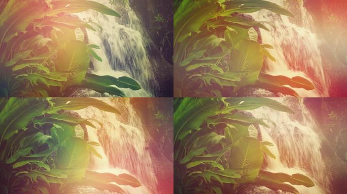 五颜六色的丛林瀑布