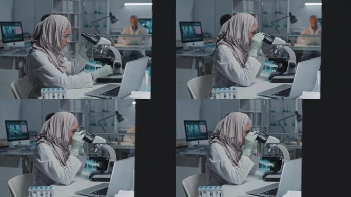 穆斯林科学家使用显微镜