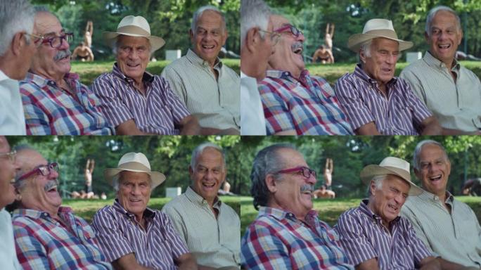 快乐的老人坐在绿色公园里，玩得开心，说笑的肖像。富有表现力的老朋友聚在一起，回忆起他们分享的有趣回忆
