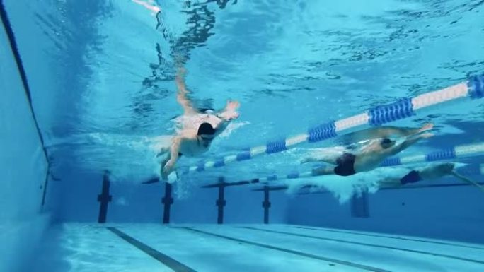男运动员穿着泳衣在游泳池游泳