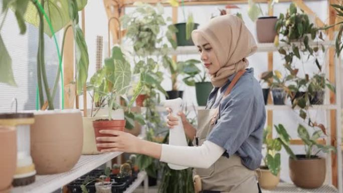 年轻的穆斯林妇女在照料她的植物。