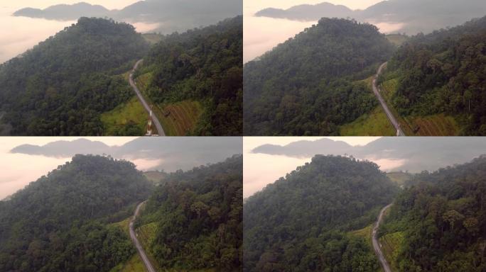 彭亨州卡梅伦高地森林中的蜿蜒道路与cloude