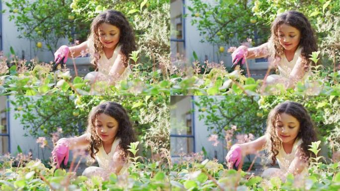 混血女儿在阳光花园园艺，照顾植物