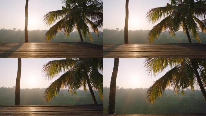 日出时美丽的热带棕榈树景观丛林从甲板风景度假目的地暑假旅游4k