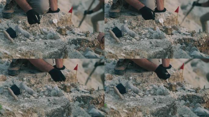 作物考古学家在岩石上挖掘骨头