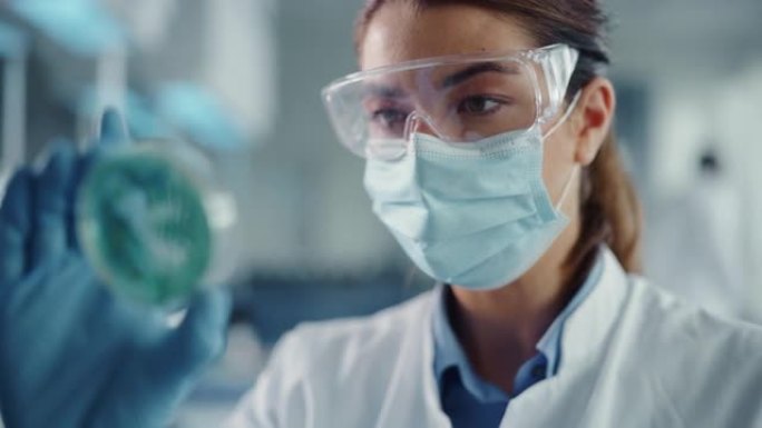 美丽的女科学家戴着口罩和眼镜，看着一个带有转基因样品化学物质的培养皿。用技术设备在现代实验室工作的微