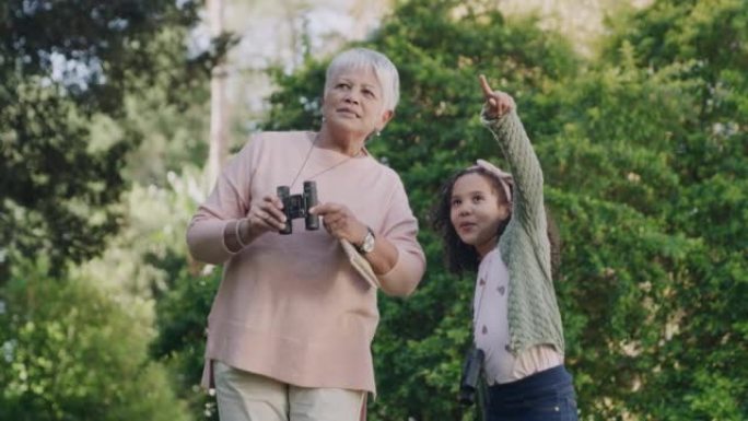 祖母和孙女在户外的公园里用双筒望远镜观鸟和看大自然中的野生动物。好奇的小女孩指着祖父母向天空展示一些