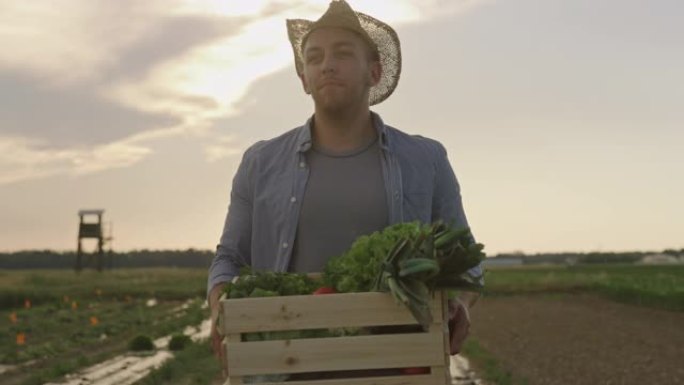 SLO MO Young farmer在日落时将装满蔬菜的板条箱带到田野中