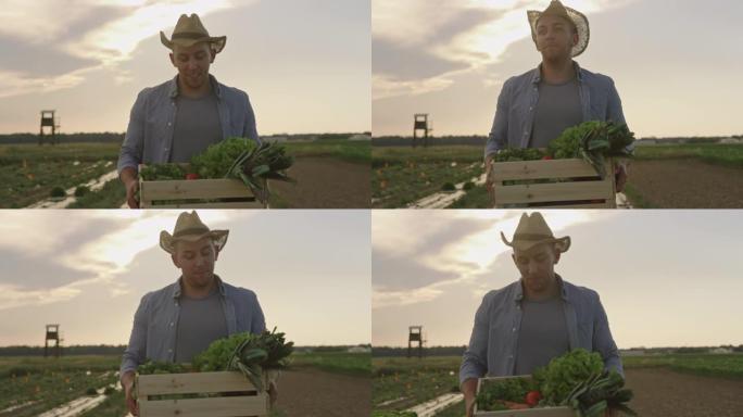 SLO MO Young farmer在日落时将装满蔬菜的板条箱带到田野中